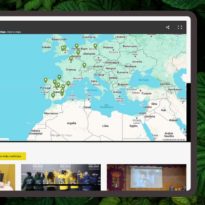 1 Optimización GEO