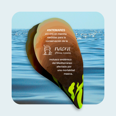 2 Intemares Diseño 2 (izq)