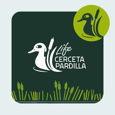 2 Life Cerceta Diseño 2 (izq)