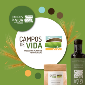 3 Diseño de logotipo y propuesta visual