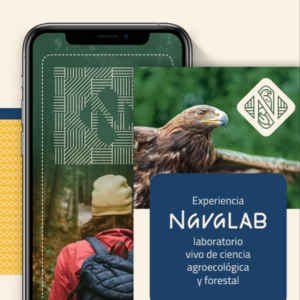3 Optimización continua