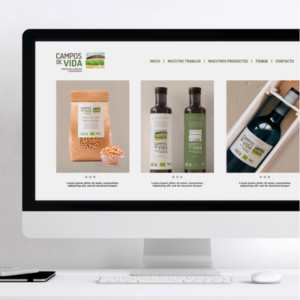 4 Diseño web personalizado