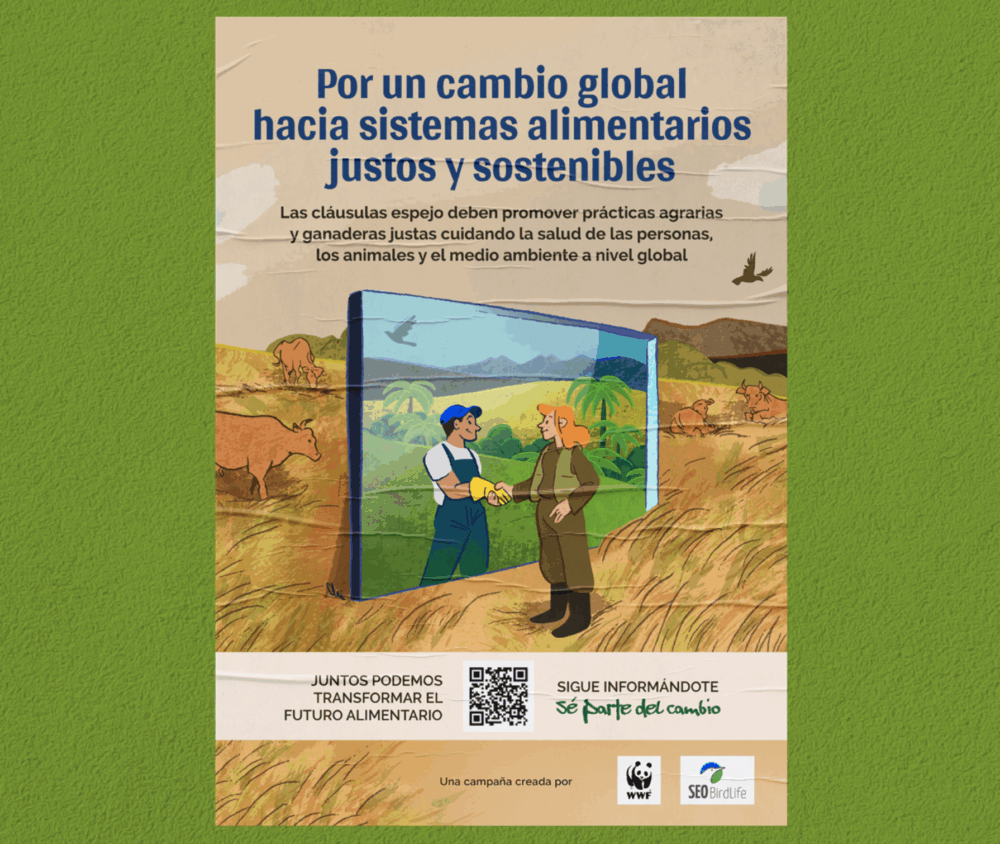 Clausulas espejo campaña SEO WWF España Clausulas espejo campaña SEO WWF España