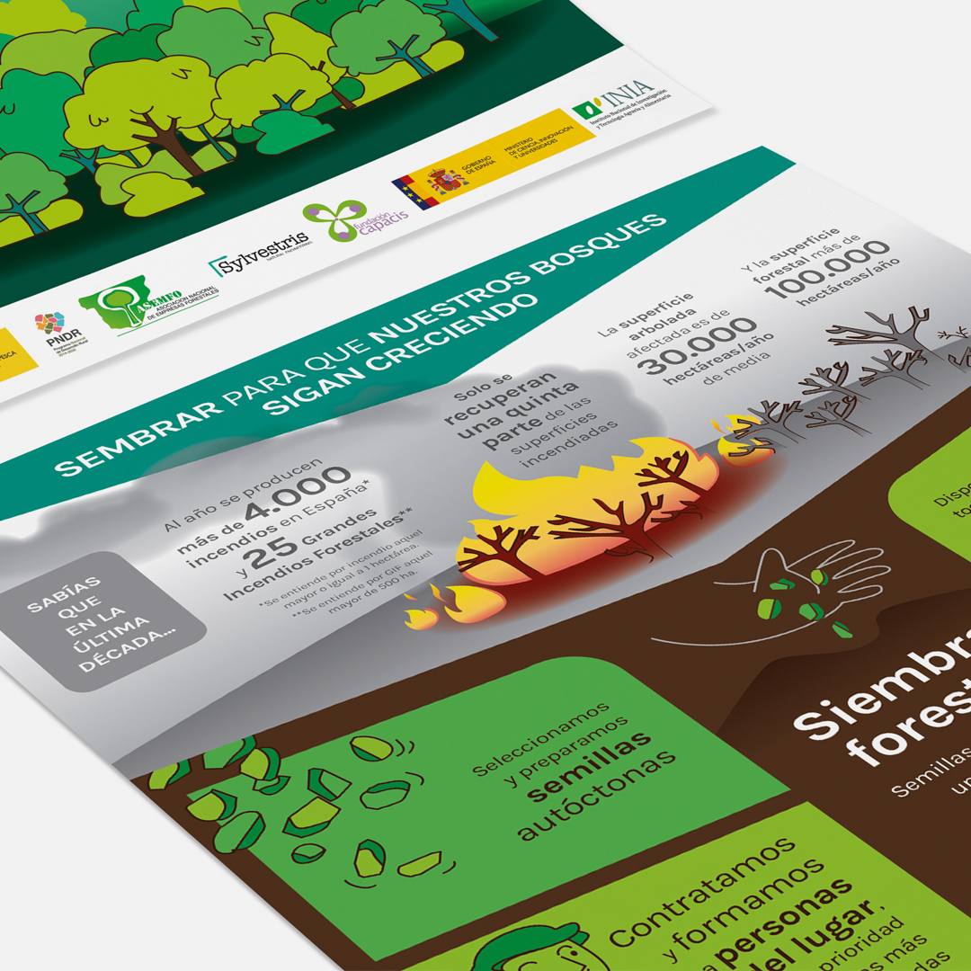 Siembras forestales infografia 1 Siembras forestales infografia 1