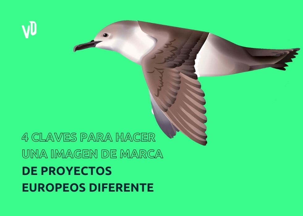 VD Imagen Marca Proyectos Europeos