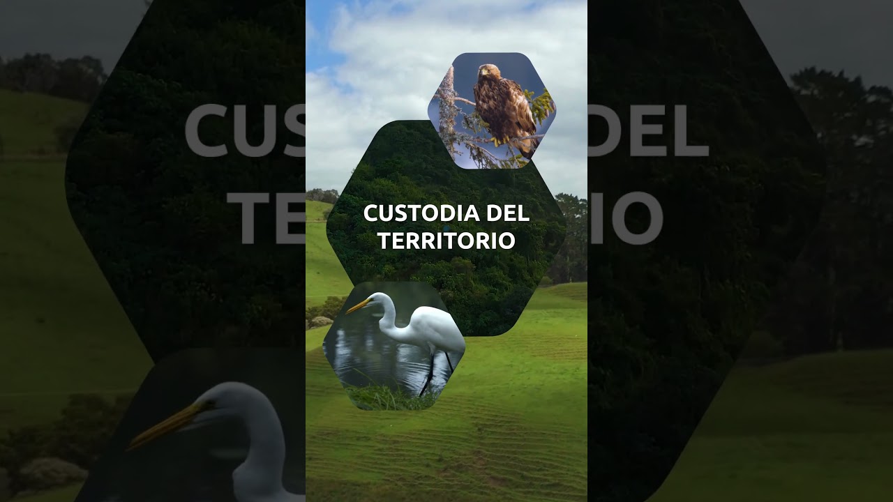 caratula youtube hdK PZN0UDk 1
