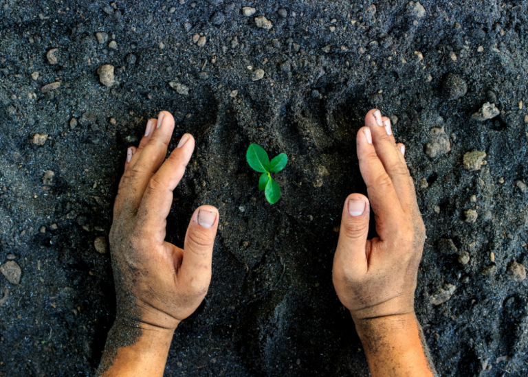 dia mundial ecologia