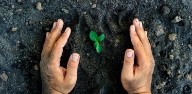 dia mundial ecologia