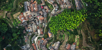 dia mundial urbanismo